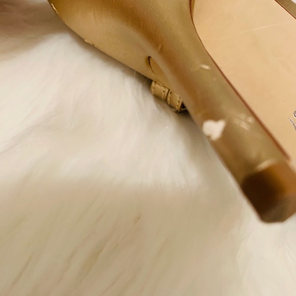 Aldo Heel - Picture 9 of 14